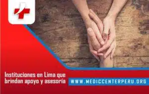 Instituciones en lima que brindan apoyo y asesorias